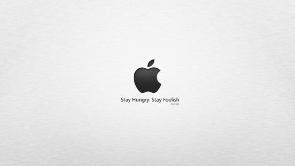 Wallpaper Hungry, Foolish, Stay, Technology, Apple, Desktop, MacBook
