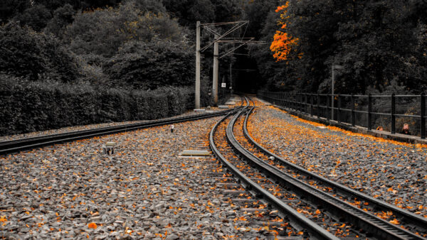 Wallpaper Railway, Stones, Red, Mobile, Autumn, Fence, Leaves, Track, Nature, Trees, Desktop