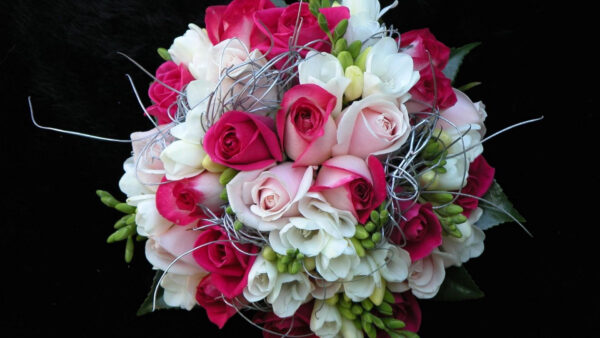 Wallpaper Flowers, Background, Colorful, Roses, Black, Bouquet