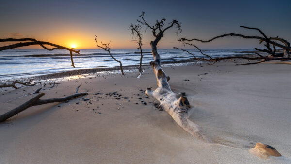Wallpaper Mobile, Sand, Ocean, Waves, During, Desktop, Beach, Nature, Sunset, Horizon