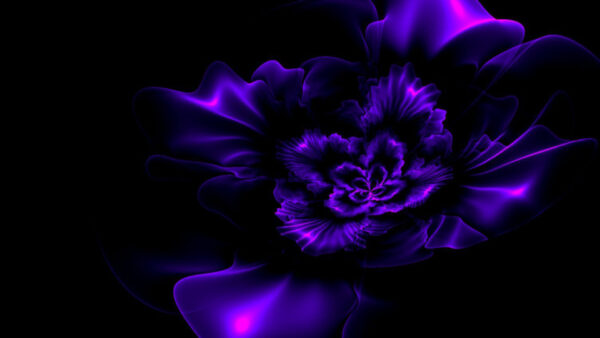 Wallpaper Background, Fractal, Black, Flower, Purple
