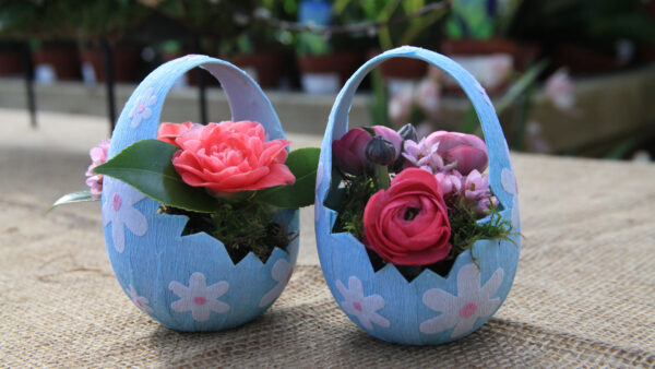 Wallpaper Easter, Pot, Eggs, Plant, Arrangement, Floral