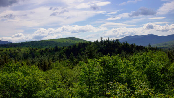 Wallpaper Trees, Slope, Sky, Nature, Mobile, Green, Greenery, Mountain, Desktop, Landscape, Bushes, Under, And, View