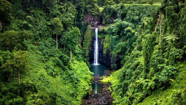 Wallpaper Landscape, View, Green, Daytime, Plants, Lake, During, Waterfall, Nature, Pouring, Bushes, Trees, Surrounded