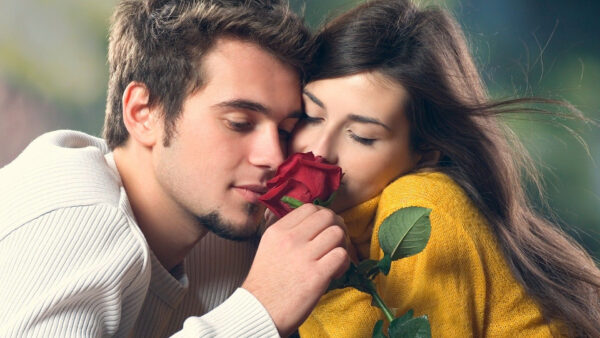 Wallpaper Rose, With, Red, Couple