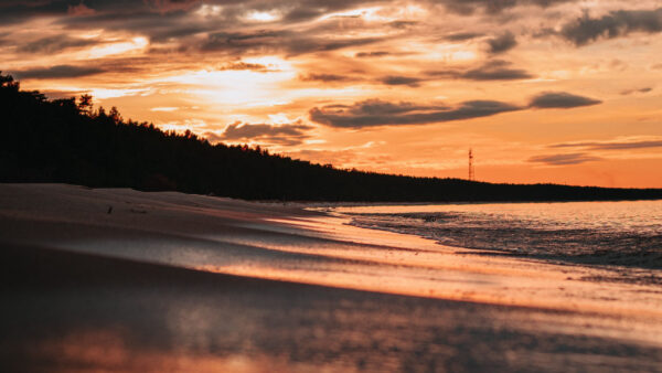 Wallpaper Nature, Beach, Sand, Silhouette, White, Background, Waves, Sky, Black, Clouds