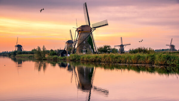 Wallpaper Netherlands, Windmills, Travel, Holland, Province, South, Kinderdijk