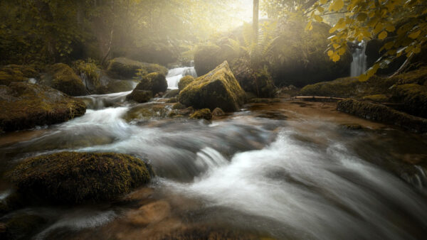 Wallpaper Forest, Trees, Sunrays, Waterfall, Green, Rocks, Stream, Nature, Beautiful, Stones, Background, Leaves