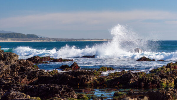 Wallpaper Background, Rocks, Trees, View, Landscape, Waves, Algae, Nature, Ocean, Stones, Sky, Blue