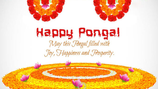Wallpaper Prosperity, Happy, This, And, Pongal, Joy, Happiness, Filled, May, With
