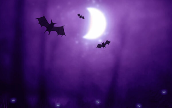 Wallpaper Bats, Halloween