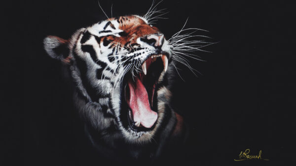 Wallpaper Roaring, Tiger