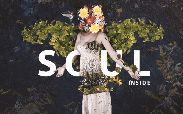 Wallpaper Flowers, Spring, Girl, Soul, Inside, Birds