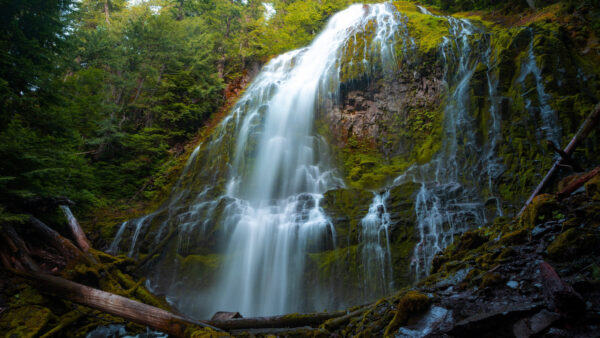 Wallpaper Green, Daytime, Trees, Covered, With, Mobile, During, Desktop, Mountain, Water, Nature, Falls, Landscape, Between