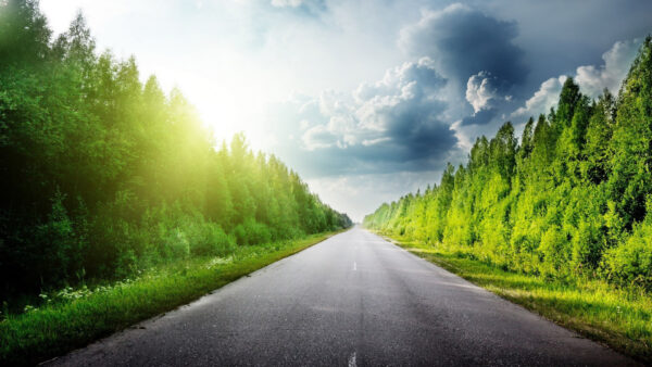 Wallpaper Road, With, Trees, Under, Sunbeam, Between, Nature, Sky, Cloudy, Green