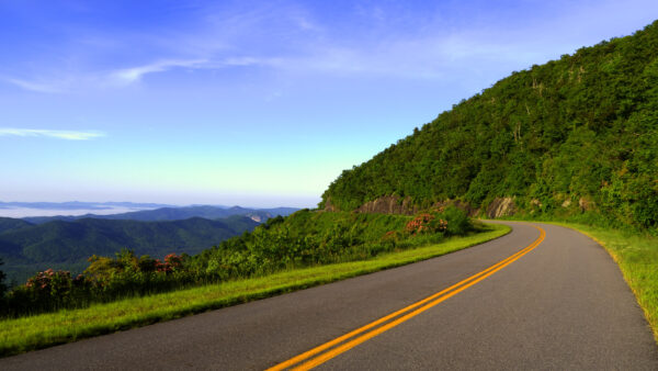 Wallpaper Mobile, Road, Blue, Bushes, Nature, Grass, Background, Between, Slope, Green, Plants, Desktop, Beautiful, Sky, Mountains, Field