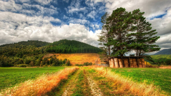 Wallpaper View, Mountain, Trees, White, Gasses, Green, Sky, Dry, Blue, Landscape, And, Covered, Field, Nature, Cloudy, Under