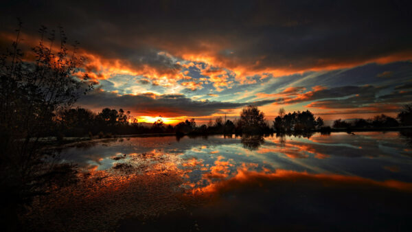 Wallpaper River, With, Cloudy, Sky, Trees, Black, Yellow, View, And, Reflection, Landscape, Nature