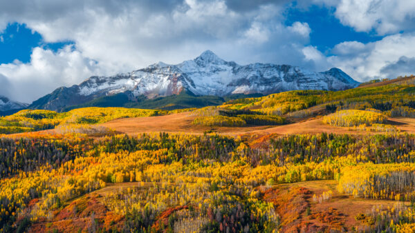 Wallpaper Capped, Blue, White, Landscape, Under, Snow, Clouds, Yellow, Slope, Desktop, Mountains, Green, Mobile, Sky, View, Nature, Autumn, Trees