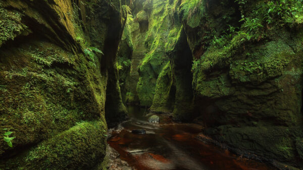 Wallpaper Greenery, Rock, Water, Nature, Mobile, During, Stream, Desktop, Daytime, Between, Cave