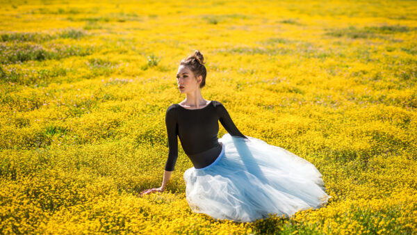 Wallpaper For, Posing, Flowers, Middle, Photo, Wearing, Black, Girls, Model, White, Field, Sitting, Dress, The, Yellow, Girl