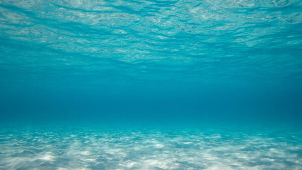 Wallpaper Clear, Underwater, Blue, Ocean, Background, Nature