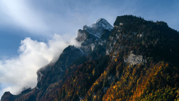 Wallpaper Rock, Blue, Sky, Cloudy, Under, Nature, And, Trees, Clouds, Mountain, With, Desktop
