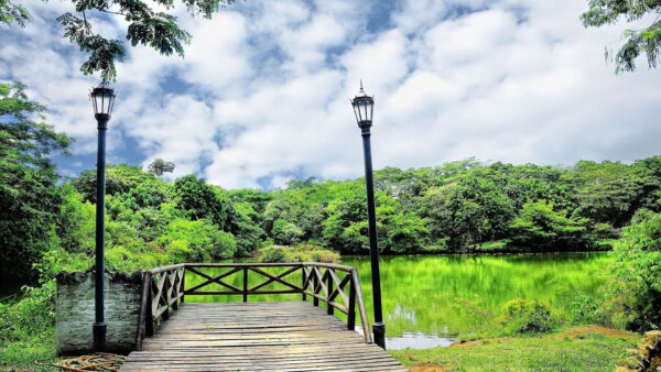 Wallpaper Dock, Water, Trees, Green, Sky, Scenery, Front, White, Wood, Reflection, Under, Lake, Clouds