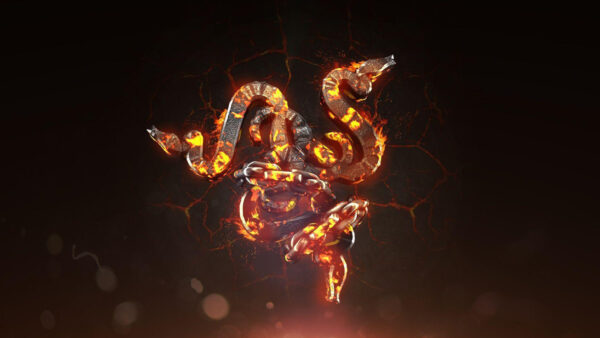 Wallpaper Fire, Razer, Desktop, Logo