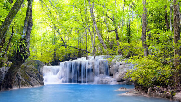 Wallpaper Stones, Green, Leafed, Trees, Waterfalls, Stream, Forest, Nature, Rocks, River