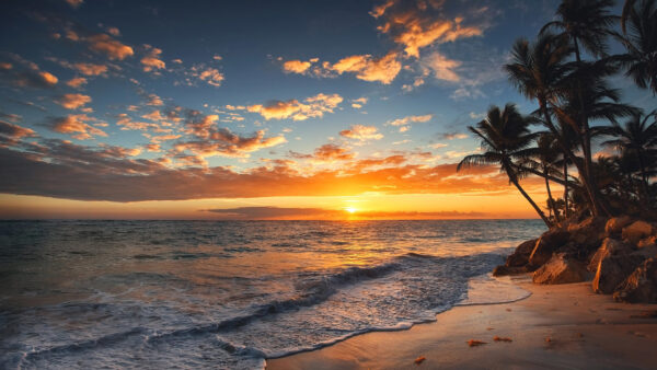 Wallpaper Blue, Sand, Sky, Trees, Waves, Beach, White, Under, Ocean, During, Clouds, Black, Palm, Sunset