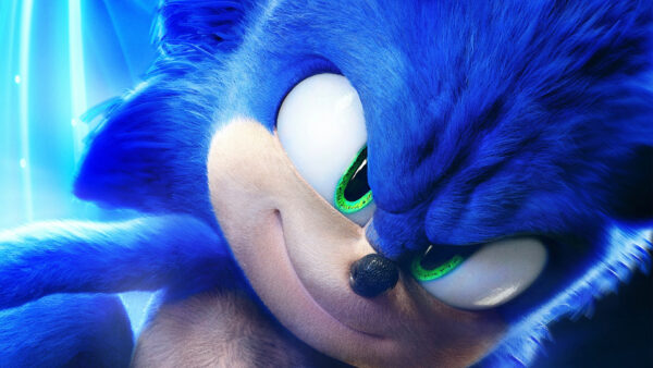 Wallpaper Hedgehog, The, Sonic