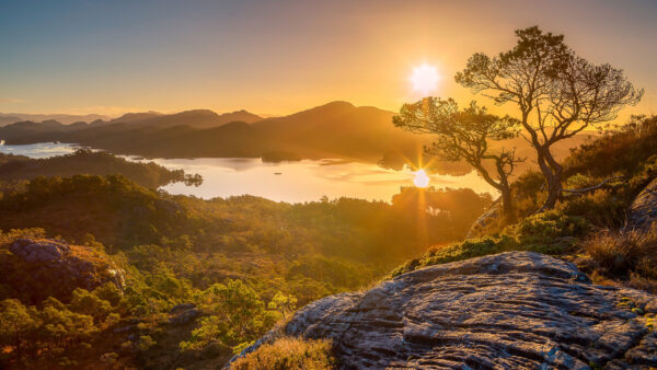 Wallpaper Bushes, Rocks, Sunlight, Landscape, Mountain, View, Green, Nature, River, Trees, Background