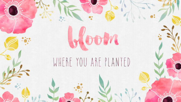 Wallpaper Are, Girly, Bloom, You, Planted, Where