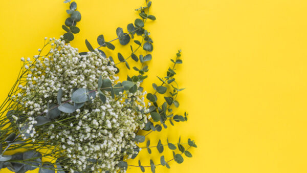 Wallpaper Leaves, Yellow, White, Green, Flowers, Bunch, Background