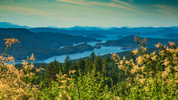 Wallpaper Under, Blue, Trees, Bushes, Nature, View, Sky, River, Landscape