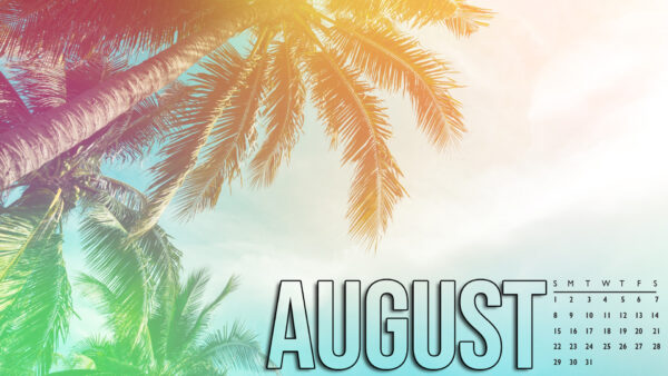 Wallpaper Coconut, Trees, Sky, Calender, White, August, Background
