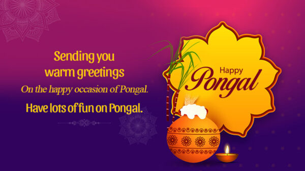 Wallpaper Fun, Happy, Occasion, Warm, You, Sending, Greetings, Have, Lots, Pongal, The
