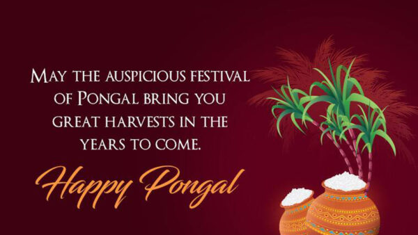 Wallpaper You, Years, The, May, Pongal, Festival, Auspicious, Great, Come, Harvests, Bring