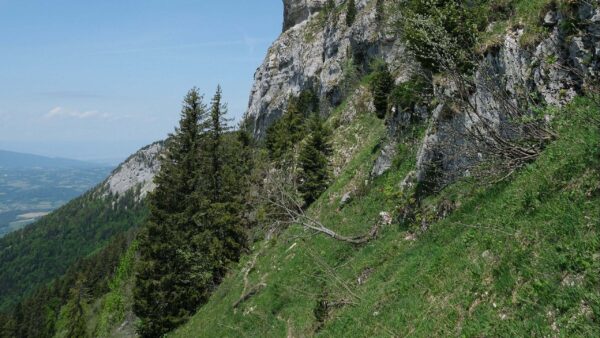 Wallpaper Background, Slope, Spruce, Sky, Rocks, Grass, Field, Nature, Trees, Bushes, Mountains, Blue