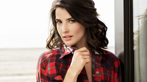 Wallpaper Smulders, Cobie