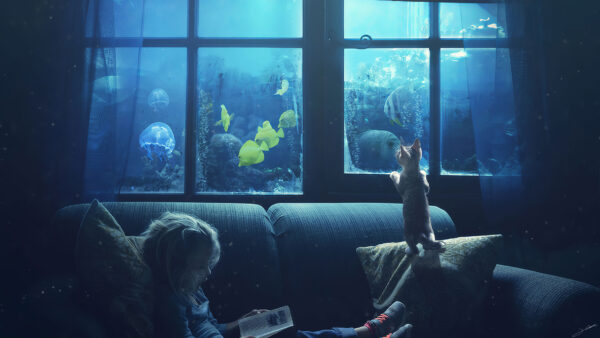 Wallpaper Book, Little, Aquarium, And, Fishes, Girl, Cute, Reading, Cat, Desktop, Watching