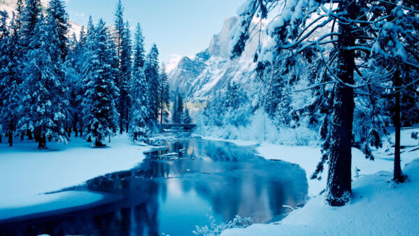 Wallpaper Desktop, Snow, Reflection, Lake, With, Between, Trees, During, Nature, Daytime, Freeze, Covered