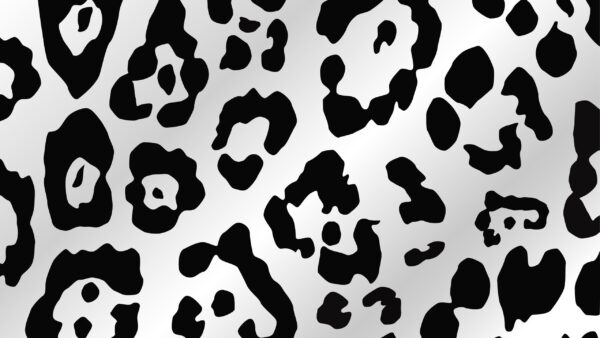 Wallpaper Black, Desktop, Cow, White, Print