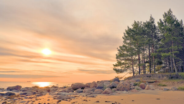 Wallpaper Ocean, Nature, Beach, Sunrise, During, Desktop, Stones, Background, Mobile, Beautiful, Trees