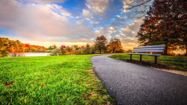 Wallpaper Landscape, Bench, And, Clouds, Trees, Grass, View, Green, White, Blue, Road, Under, Nature, Sky, Wood, River, Between, Field