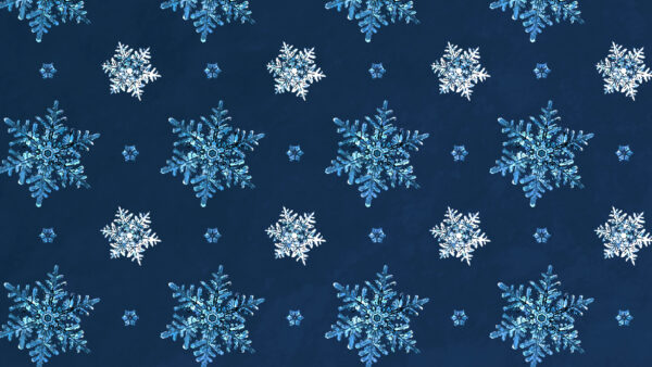 Wallpaper Art, Pattern, Desktop, Blue, White, Snowflakes, Abstract, Mobile, Abstraction