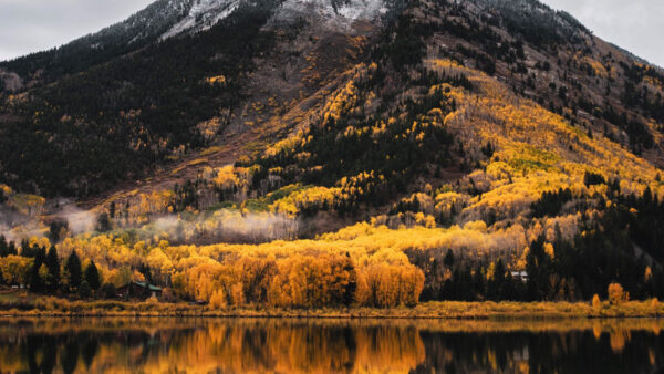 Wallpaper Landscape, View, Green, Covered, Desktop, Yellow, Mountain, Nature, Reflection, Trees, Water