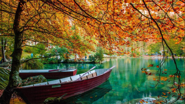 Wallpaper Yellow, Green, Garden, Surrounded, Water, Trees, Nature, Red, Autumn, Beautiful, Boats, Body, Fall