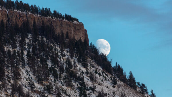 Wallpaper Desktop, Moon, With, Slope, Trees, Nature, Mobile, Green, Covered, Snow, Blue, Background, Mountains, Sky